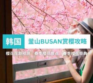 图：Shutterstock付费图库