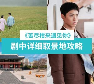 《苦尽柑来遇见你》