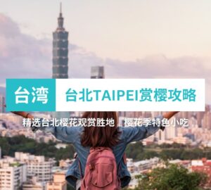 初探台北TAIPEI樱花美景